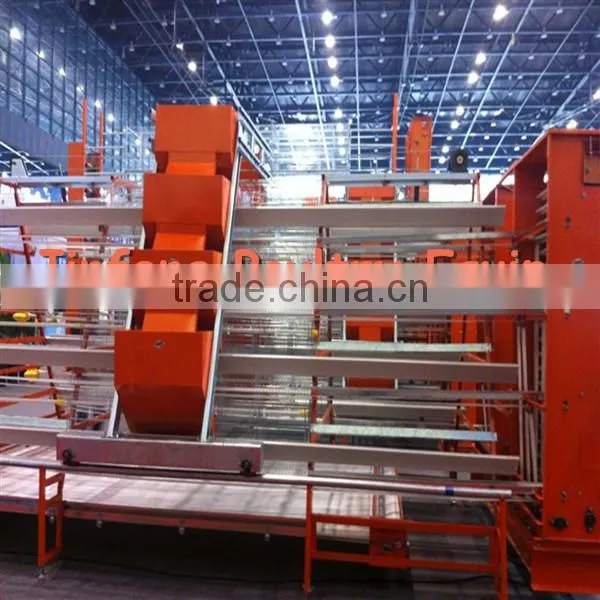 Chicken Layer Cages