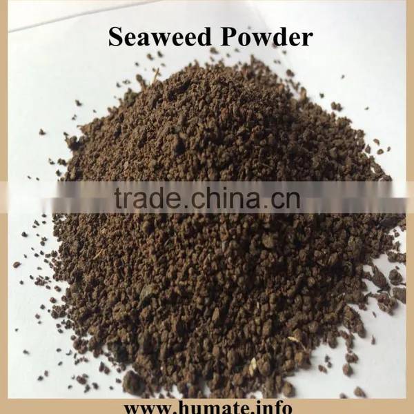 Seaweed Powder Type and Cattle,Aquatic,Horse,Chicken,Dog,Pig,Fish Use Seaweed Kelp Meal photo-2
