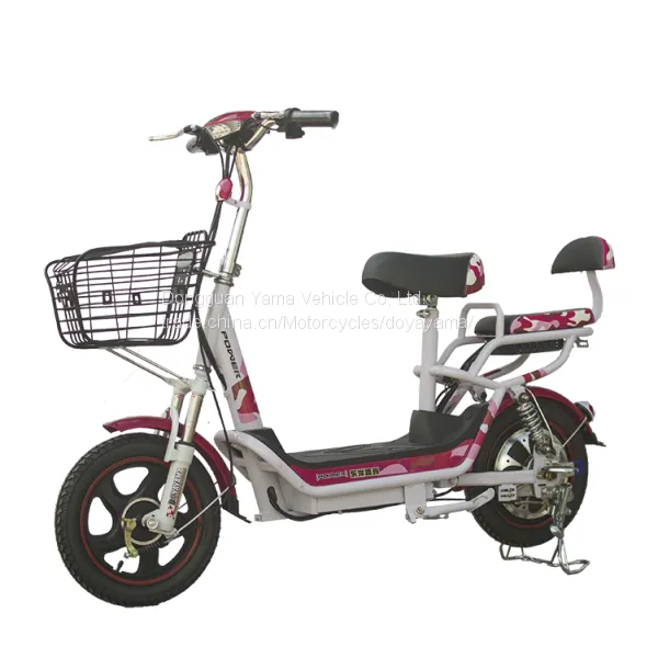 Normal Electric Bike Electric Bicycle With Lead Acid Battery for Wholesale photo-2