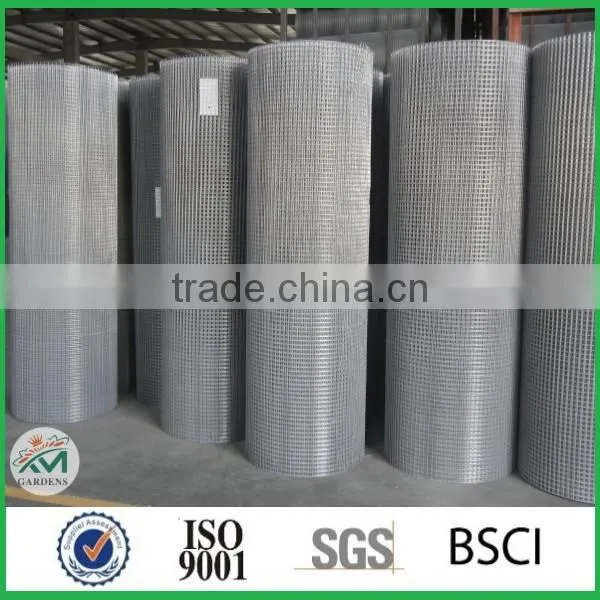 Hot Sale 2x2 Galvanized Welded Wire Mesh for Fence Panel photo-3