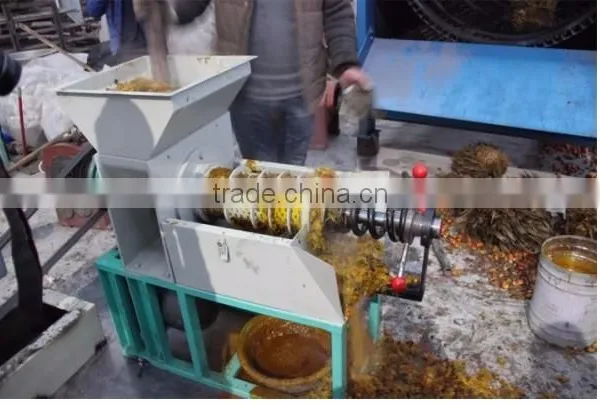 Low Price Palm Oil Press Machine for Small Scale Oil Plant photo-3