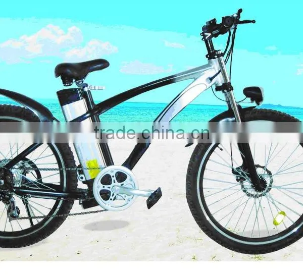 Electric Bike