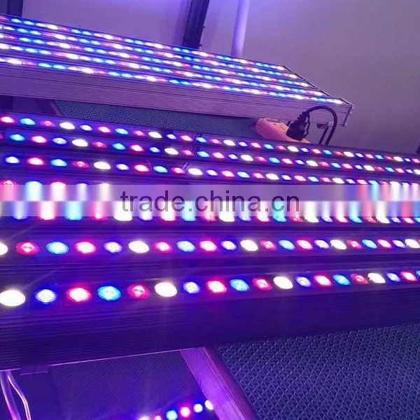 High Par 3.3ft IP65 36W LED Grow Bar Light for Hydroponic Grow Systems photo-2