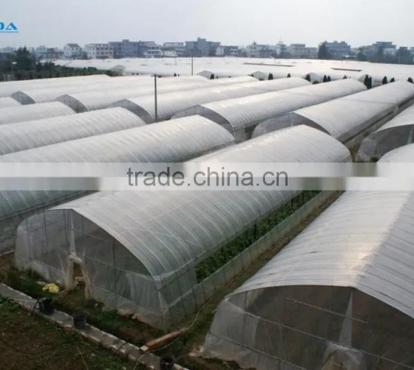 Tunnel Greenhouse photo-4