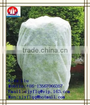 100% PP Spunbonded Non Woven Fabric Used for Agriculture Plant Cover or to Prevent the Weed and so on photo-4