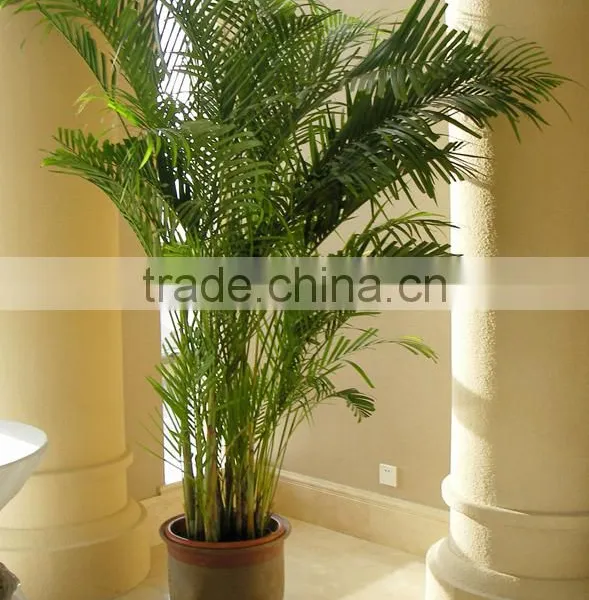 Indoor Decoration Artificial Areca Plant Home Decorarion Fake Artificial Plant photo-4