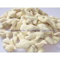 Dry Ginger photo-3