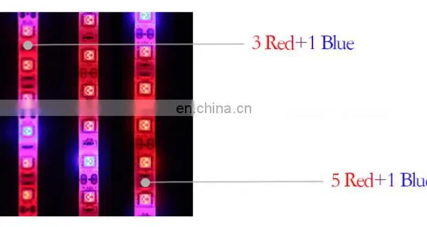 DC12V LED Plant Grow Light Full Spectrum LED Strip Light SMD 5050 Chip For Greenhouse Hydroponic Plant photo-7