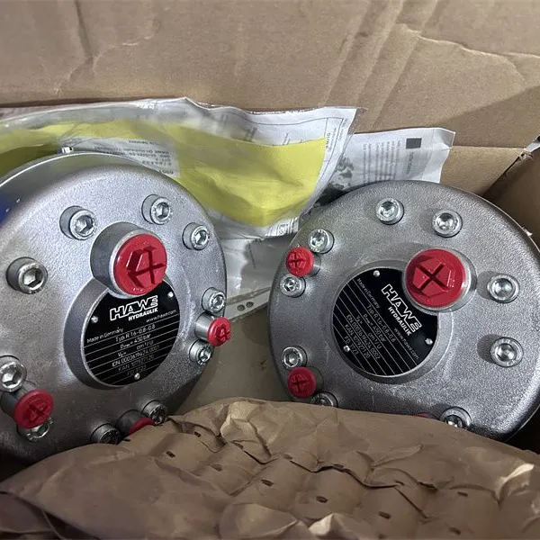HAWE Hydraulic Pump R1.4 R9.9 R2.5A R5.6A R4.3A R7.7A R2.5 R3.6A High Pressure Radial Piston Pump R1.4-1.4-1.4-1.4 R9.9-9.9-9.9-9.9 photo-2