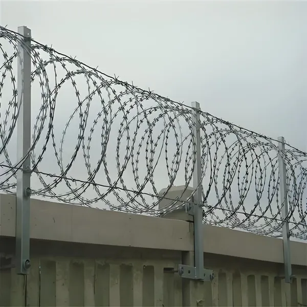 Wholesale PVC-Coated Bto-22 Concertina Razor Barbed Wire 450mm for Farm Fence Protection photo-3