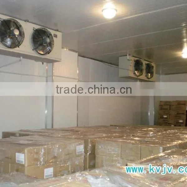 0.75-3hp Freezing Room With Monoblock Unit photo-3