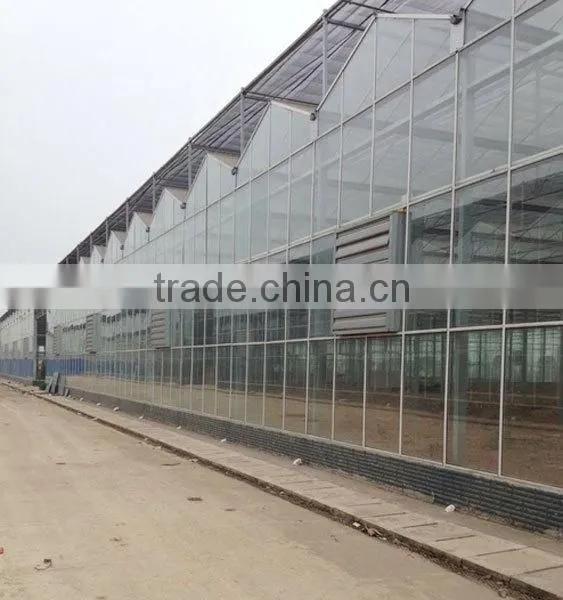 Large Glass Commercial Hot House photo-2