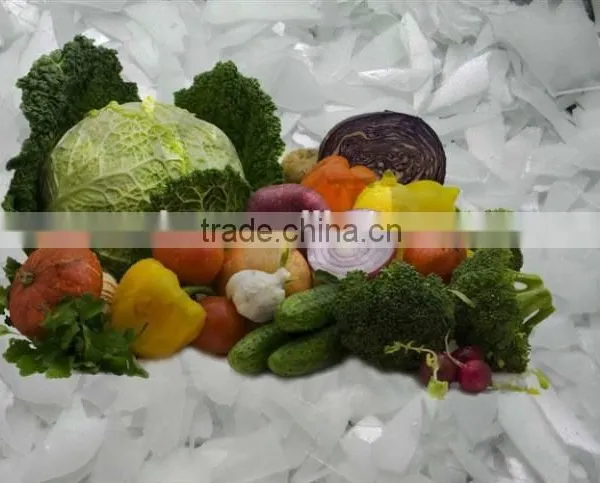 4.0T Large Capacity Fresh Water Ice Flake Maker Machine photo-3