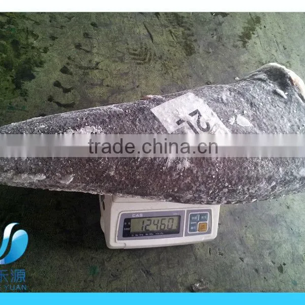 Frozen cod/codfish/pollock