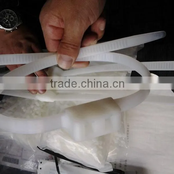Direct Selling :4.6*300 PA66 Nylon Binding Ties Tensile Strength:40lbs photo-3