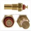 TEMP SENSOR 96177604