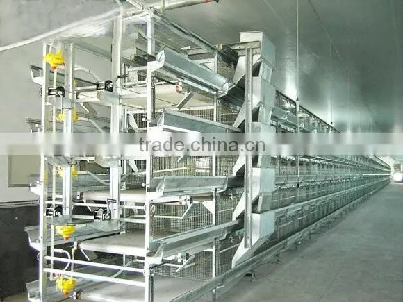H Type Automatic Layer Poultry Cages for Nigeria photo-3