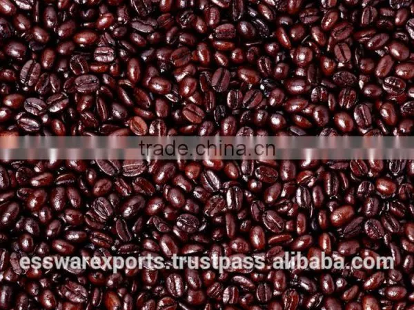 India Produce Highy Demanded Arabica Coffee Bean photo-6