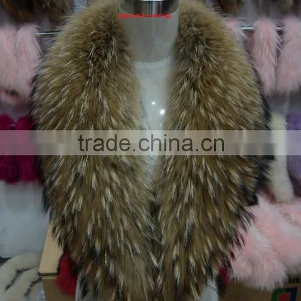 Winter Warm Hot Sale Big Raccoon Fur Collar Customized Plump Raccoon Fur Shawl Collar photo-6