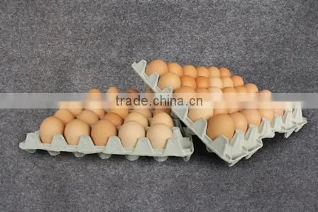 Paper Pulp High Quality Egg Tray Egg Carton