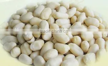 Chinese Blanched Peanut Kernels in Round Shape for Sale photo-2