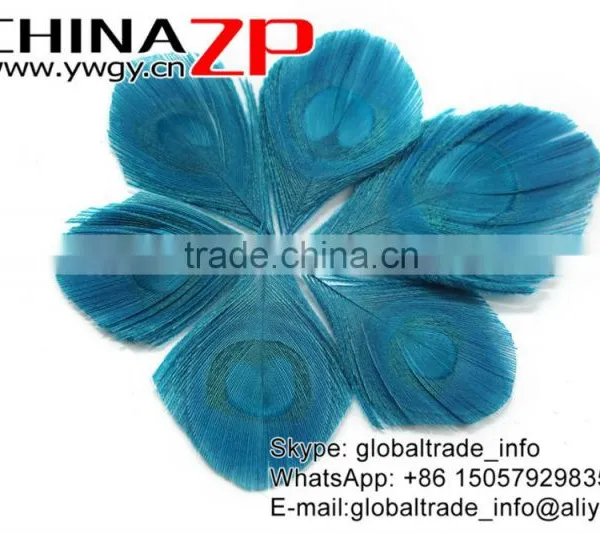Leading Supplier CHINAZP Wholesale Wonderful Good Dyed Turquoise Trimmed Peacock Feathers Eyes for Earrings photo-2