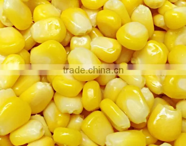 Fresh Sweet Corn (Frozen)