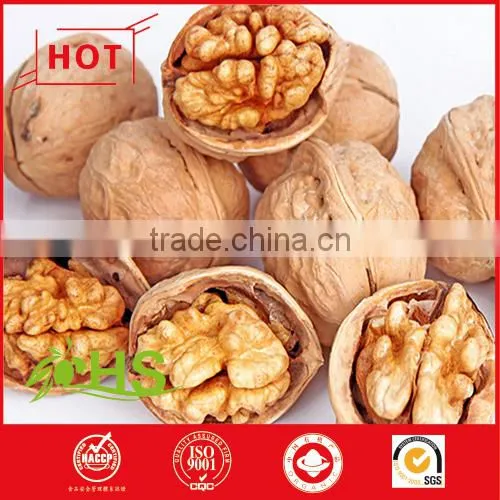 Light Pieces Walnut Kernels Vacuum Package for Export photo-5