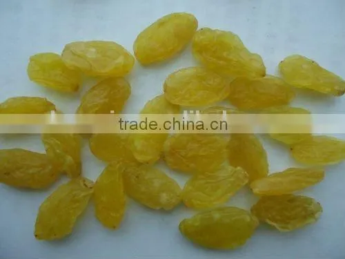 2017 Sultana Raturkish Sultanas Raisins photo-2