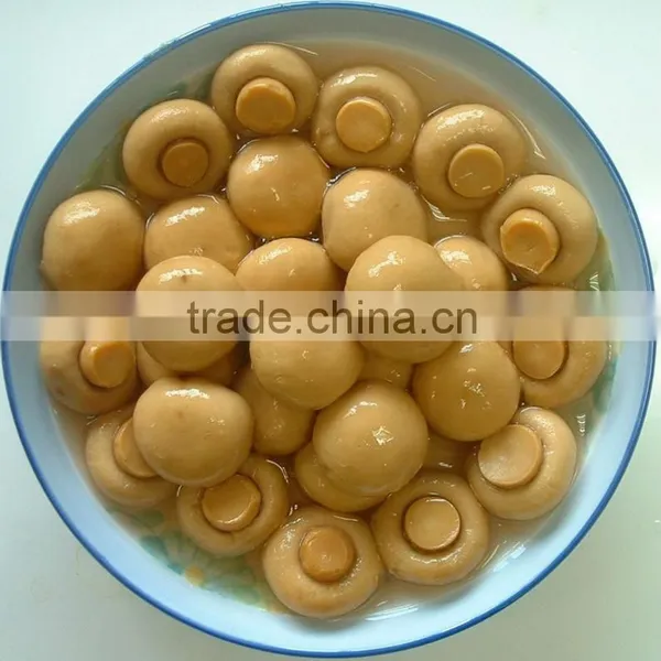 Canned Whole Button Mushroom photo-2