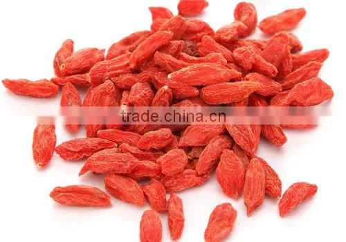 Wholesale Price Chinese Natural Dried Organic Goji Berries photo-6