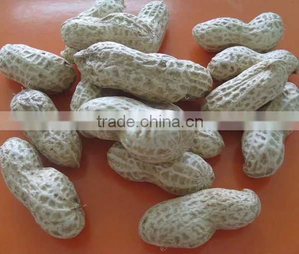 Chinese Peanut Kernels With Shell photo-4