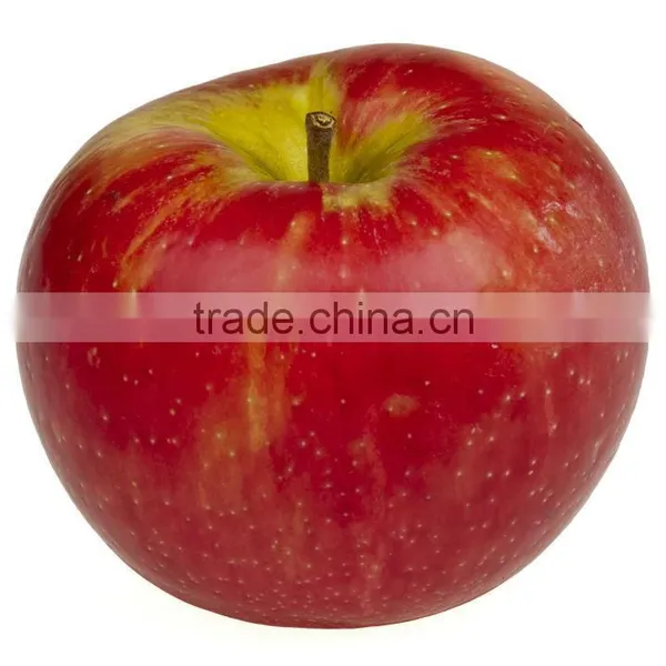 MSDS Vinegar Apple Cider Vinegar Bottles photo-3