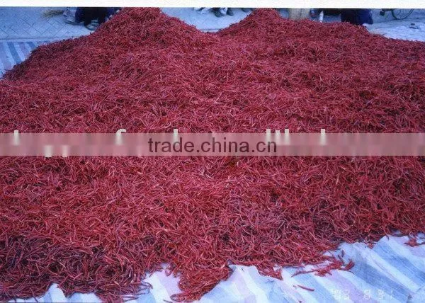 Yunan Dried Red Chillies Stemless
