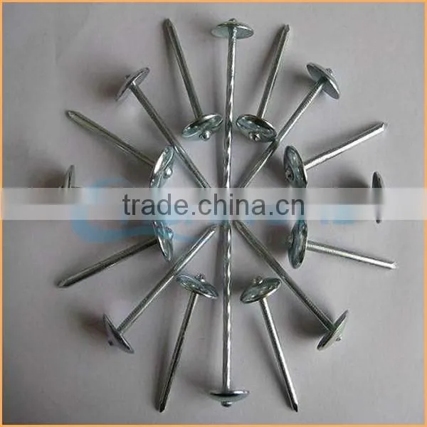 Top Quality Construction Common Roofing Nail Iron Nail Quality Assured Trusted Chuanghe Suppliers From Com photo-4