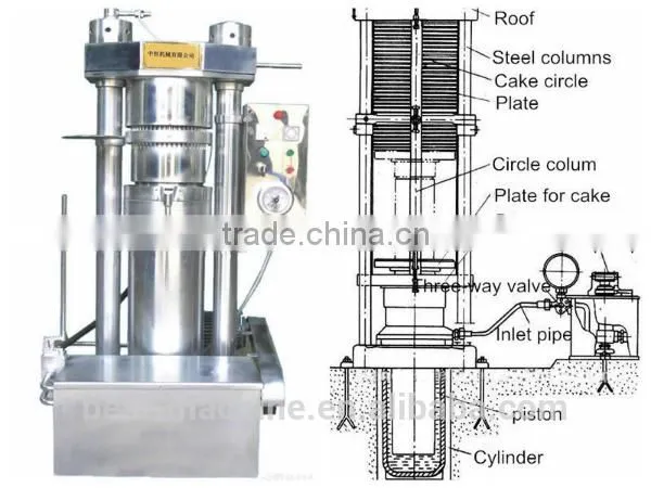 Per Hour 50kg Sesame Seed Hydraulic Cold Oil Making Machine With Best Factory Price photo-2