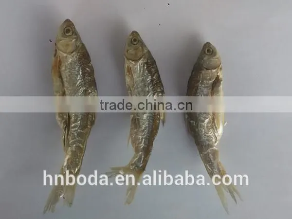 Industrial Cabinet Type Fish Dryer/fish Drying Machine/food Dryer photo-4
