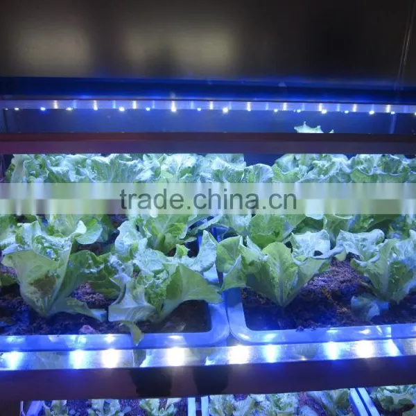 MarsHydro 23W/46W/96W Full Spectrum LED Grow Light Grow Led Panel Waterproof Plant Indoor Garden Hanging Grow Bar 120cm 60cm photo-5