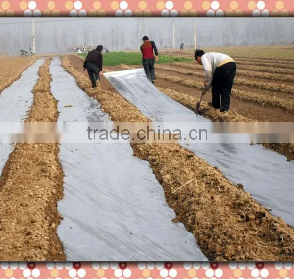 Mulch Covering Film
