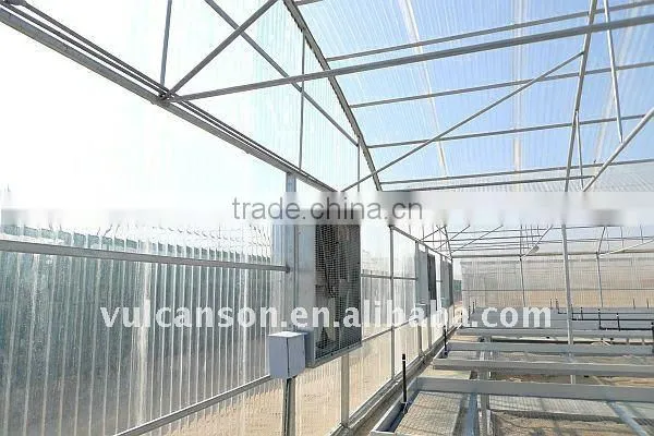 Green House (Polycarbonate Valuview ROMA Sheets) photo-4