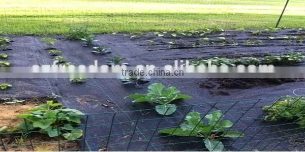 pp Weed Mat Ground Cover Fabric photo-6