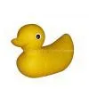 Toy Duck