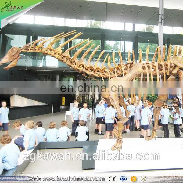 KAWAH High Quality Exvacation Replica Dig Life Size 3d Education Dinosaur Fossil For Sale
