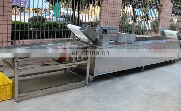 Discount Price Pepper Vegetable Washing Cutting Machine Chili Process Line photo-5