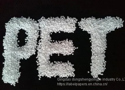 Top Quality PET CHIPS /Resin for Bottle photo-2