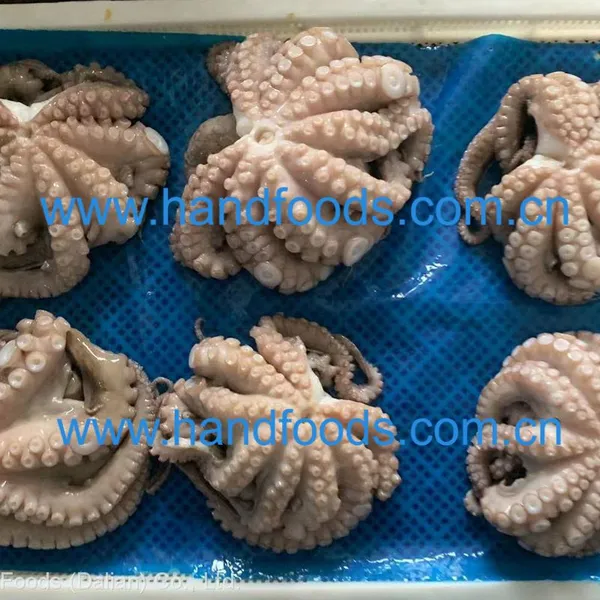Frozen Fully Cleaned Gaint Octopus