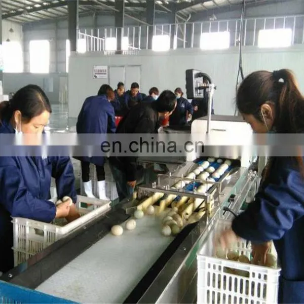 Commercial Egg Cleaning and Sorting Machine photo-3