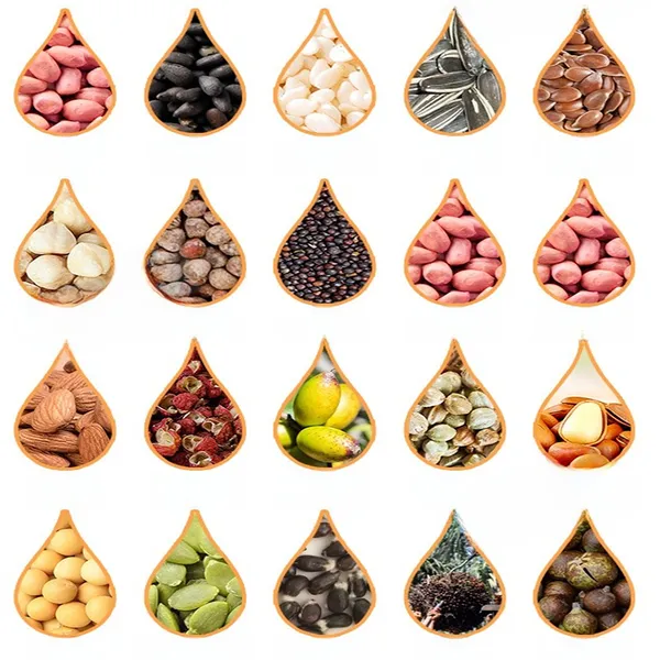 Cold Hydraulic Walnut Avocado Coconut Linseed Oil Processing Machine Oil Extractor Oil Making Machine Oil Press Machine photo-2
