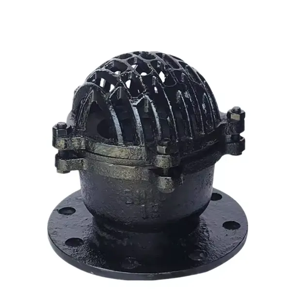 BS Standard Cast Iron Grey Iron Threaded Foot Valve PN10/PN16 Pressure Rating for Water Pump photo-3