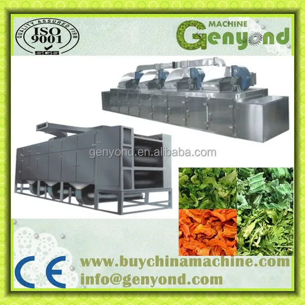 DW Series Mesh Belt Dryer Fruit and Vegetable Dryer photo-2